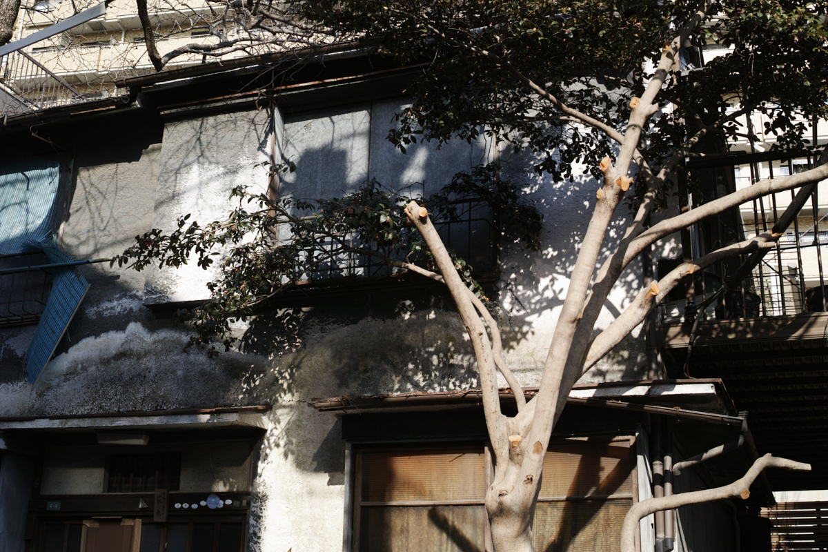 Numabukuro, Ochiai, Gokokuji_Img