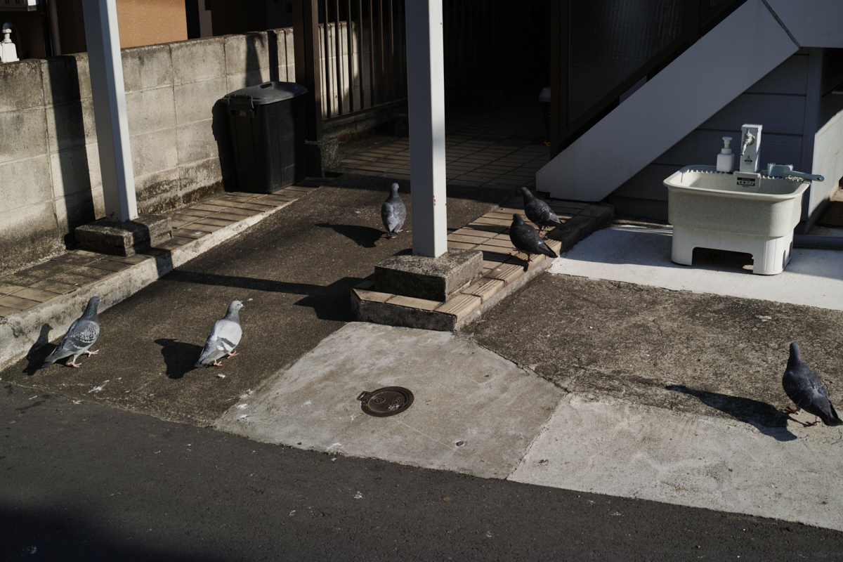 Numabukuro, Ochiai, Gokokuji_Img