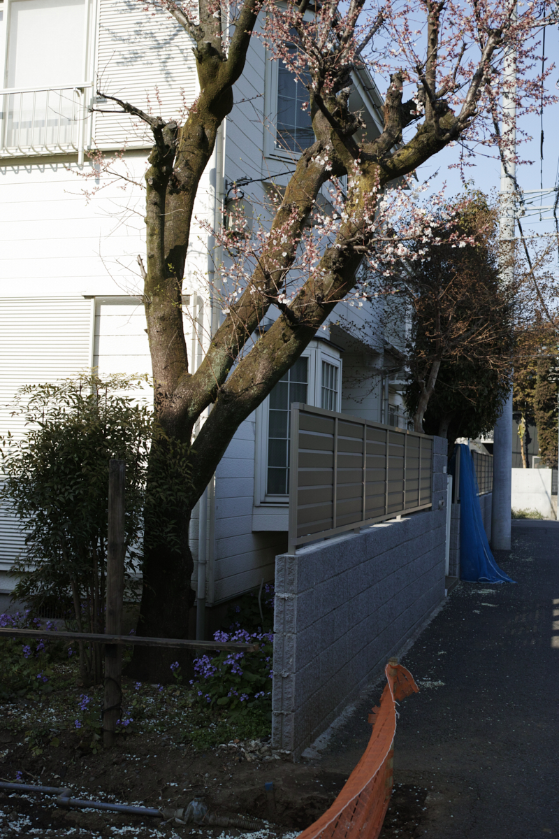 Numabukuro, Ochiai, Gokokuji_Img