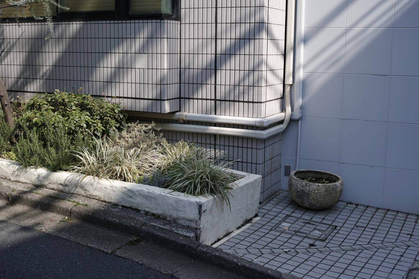 Shibuya, Hiroo_Img