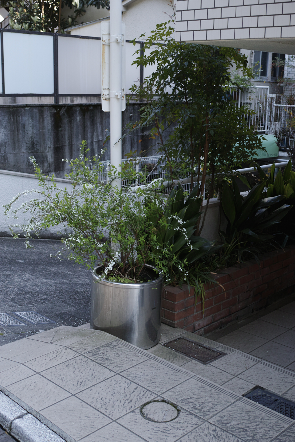 Shibuya, Hiroo_Img