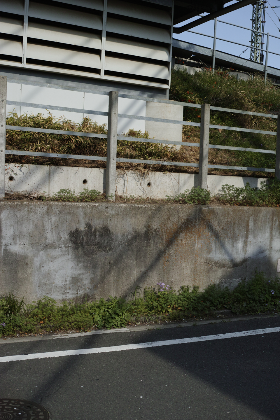 Kichijoji_Img
