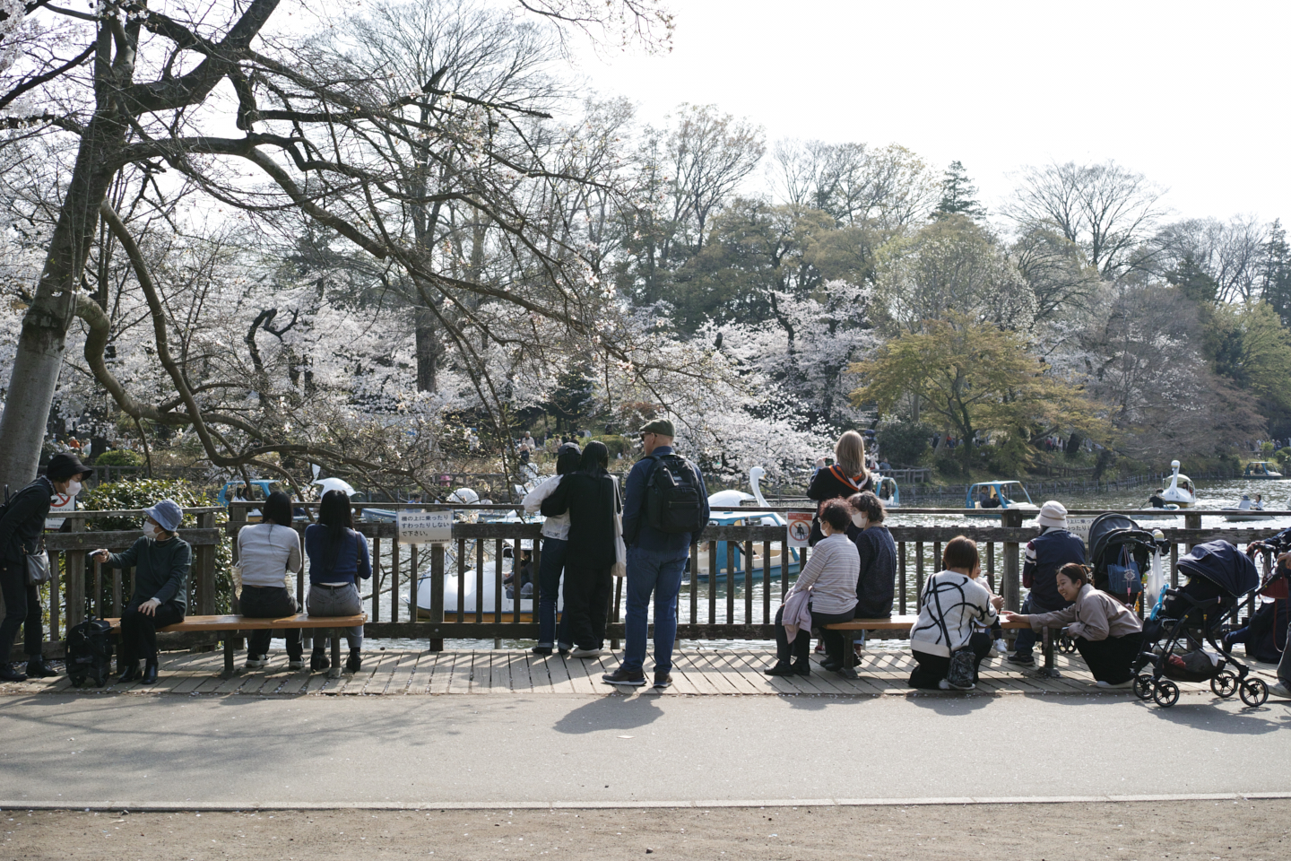 Kichijoji_Img