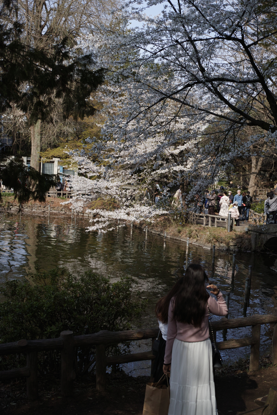 Kichijoji_Img