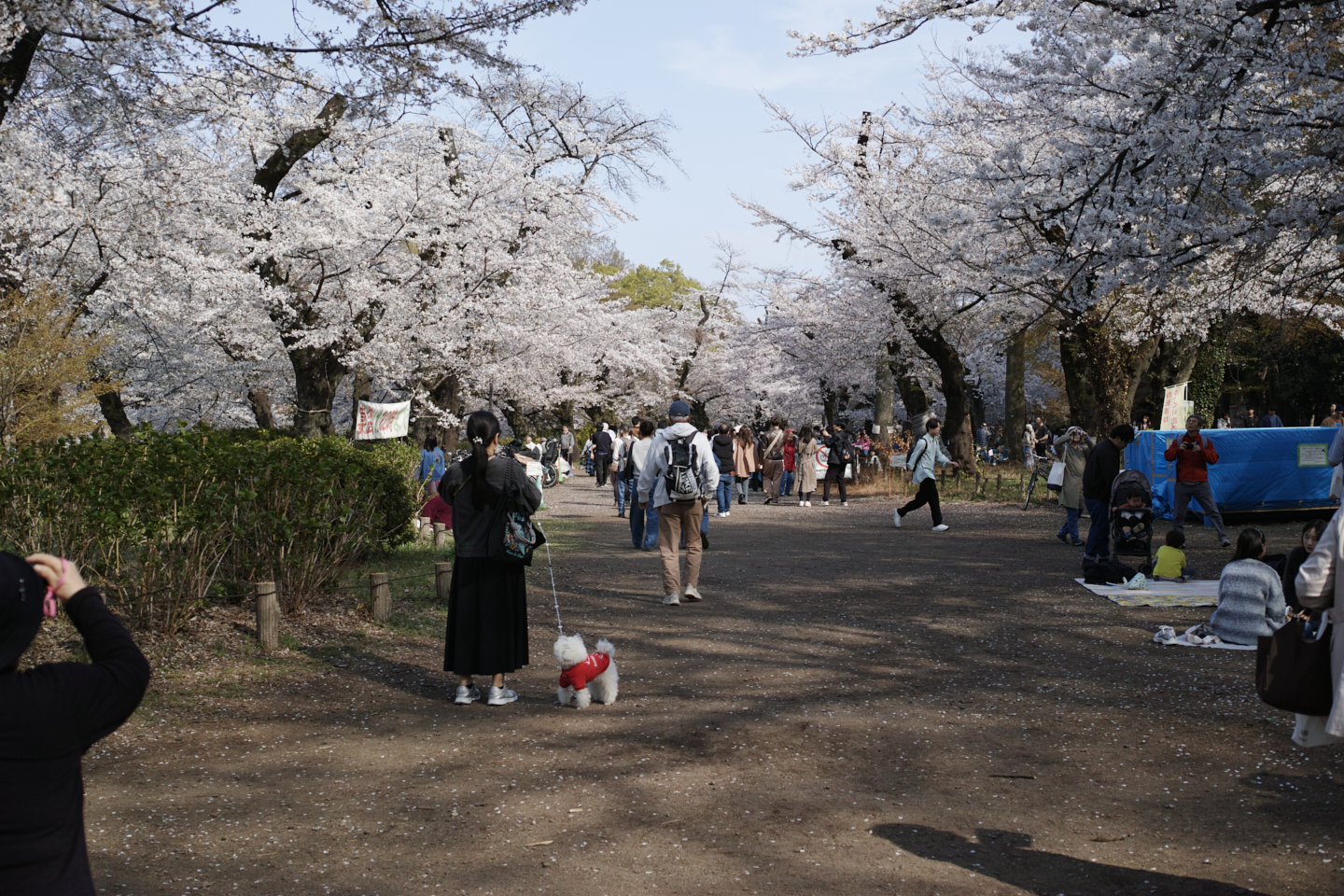 Kichijoji_Img