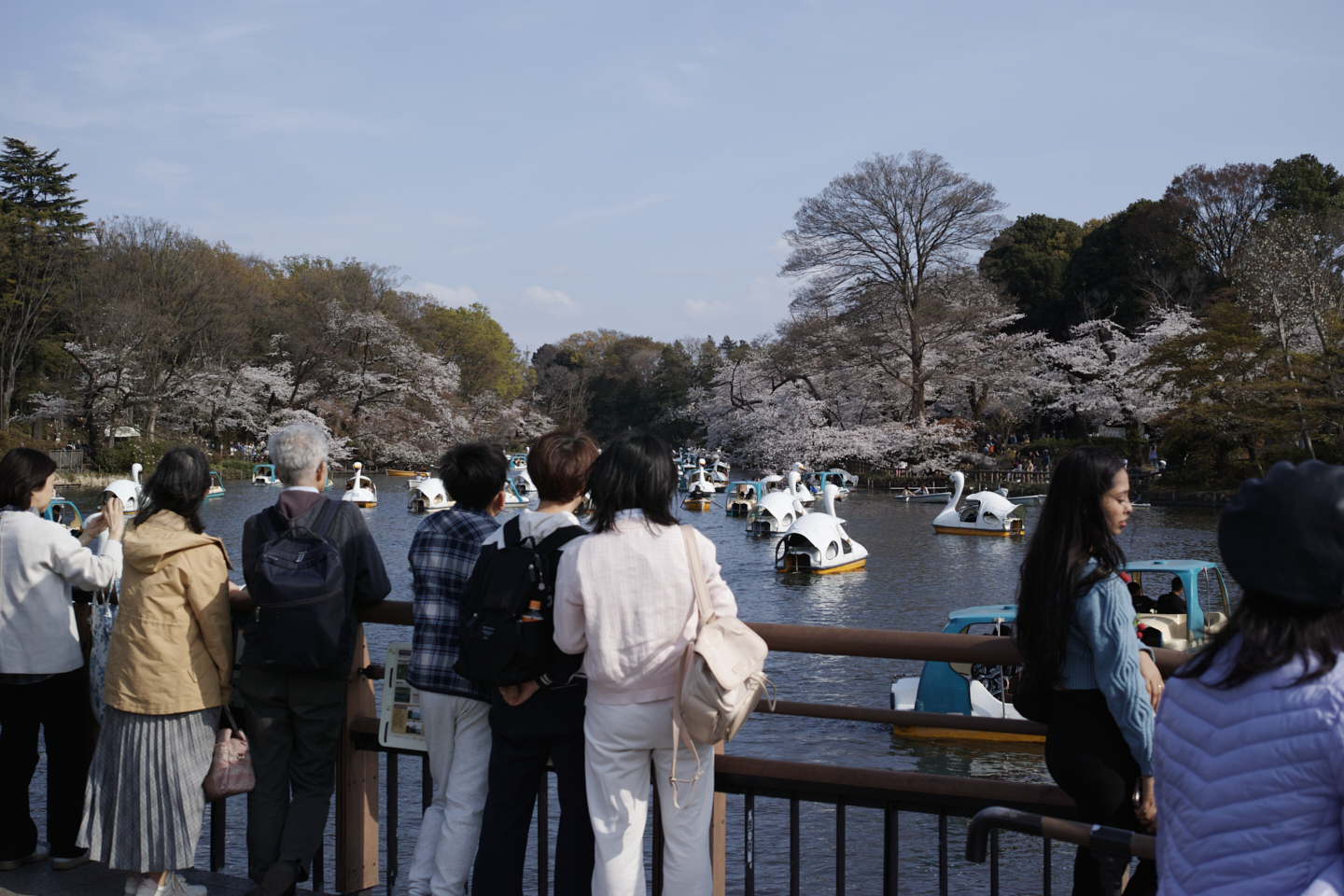 Kichijoji_Img