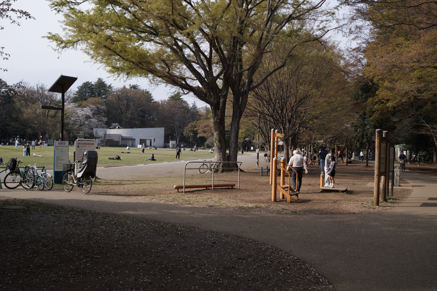 Kichijoji_Img