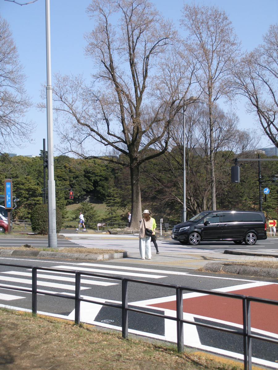 Yoyogi, Hiroo, Akasaka, Marunouchi etc_Img