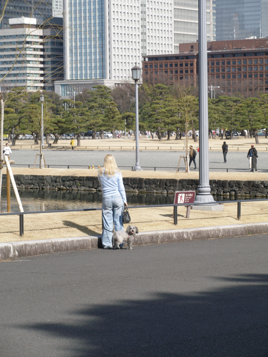 Yoyogi, Hiroo, Akasaka, Marunouchi etc_Img