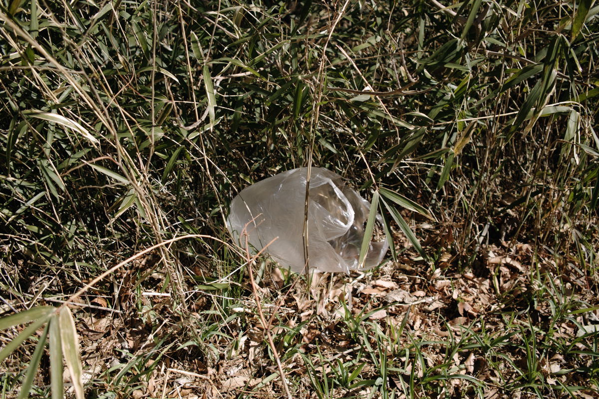 Nakano-Sakaue, Shinjuku, Shibuya, Ebisu_Img
