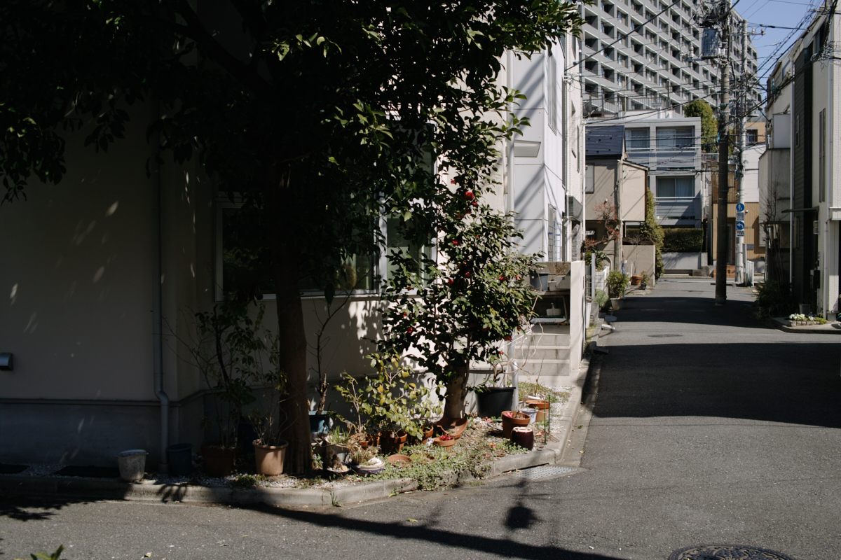 Nakano-Sakaue, Shinjuku, Shibuya, Ebisu_Img
