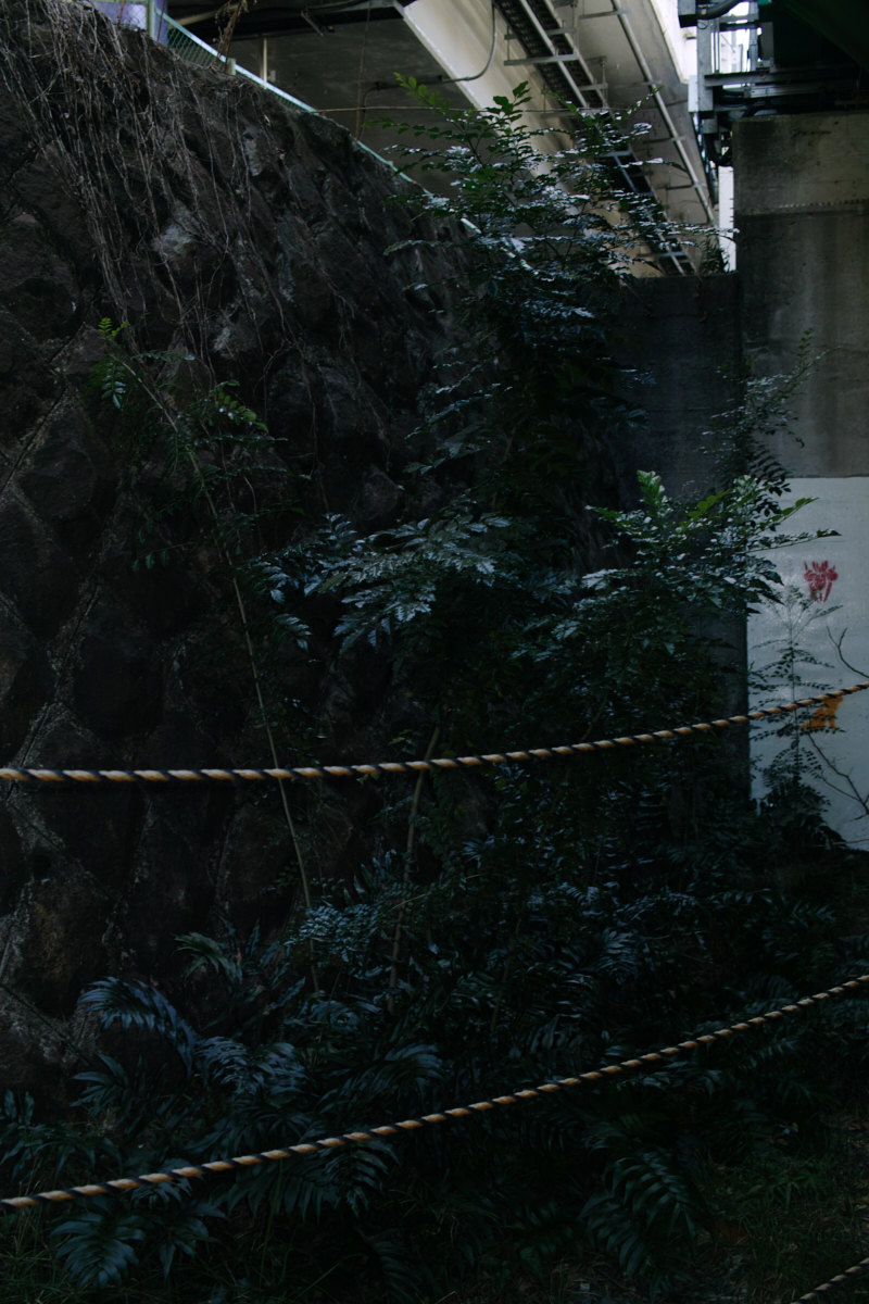 Nakano-Sakaue, Shinjuku, Shibuya, Ebisu_Img