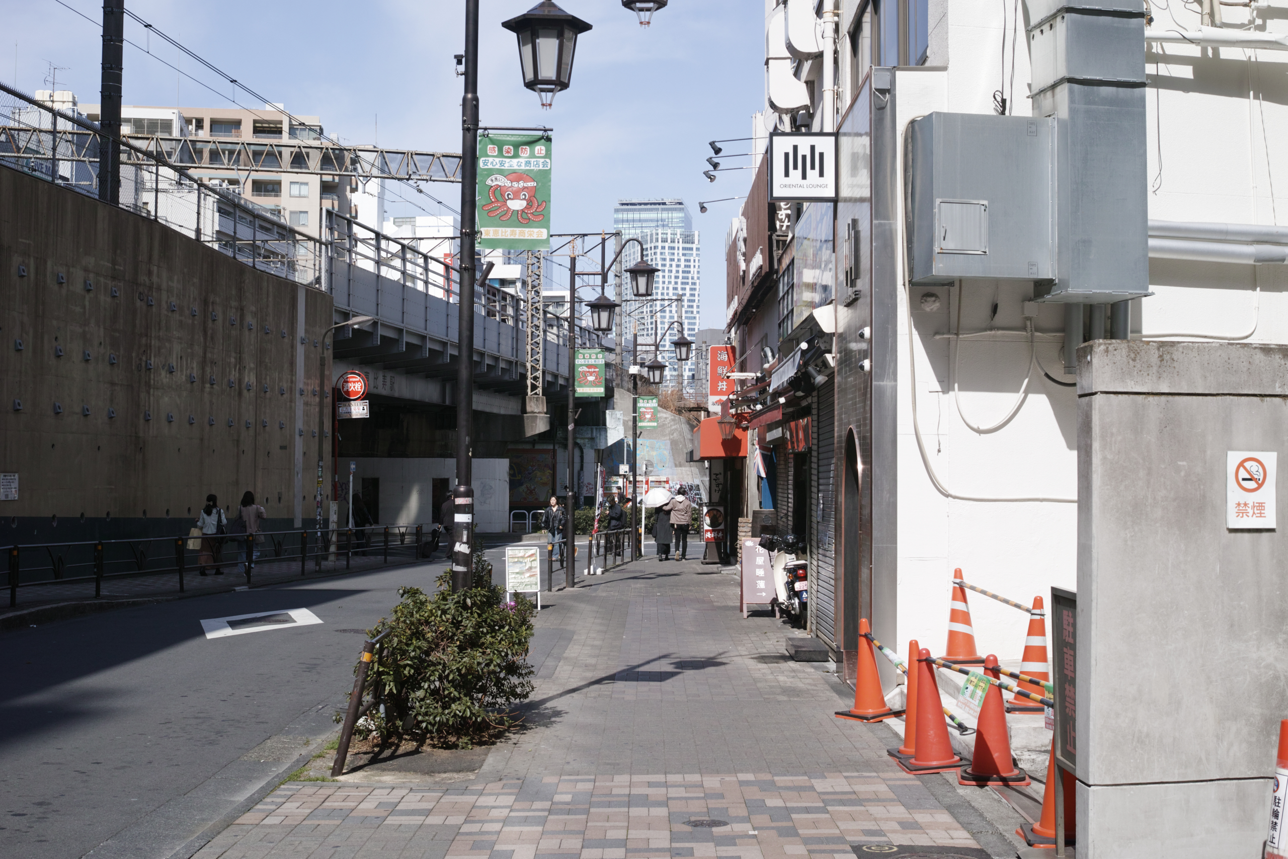 Yoyogi, Hiroo, Akasaka, Marunouchi etc_Img