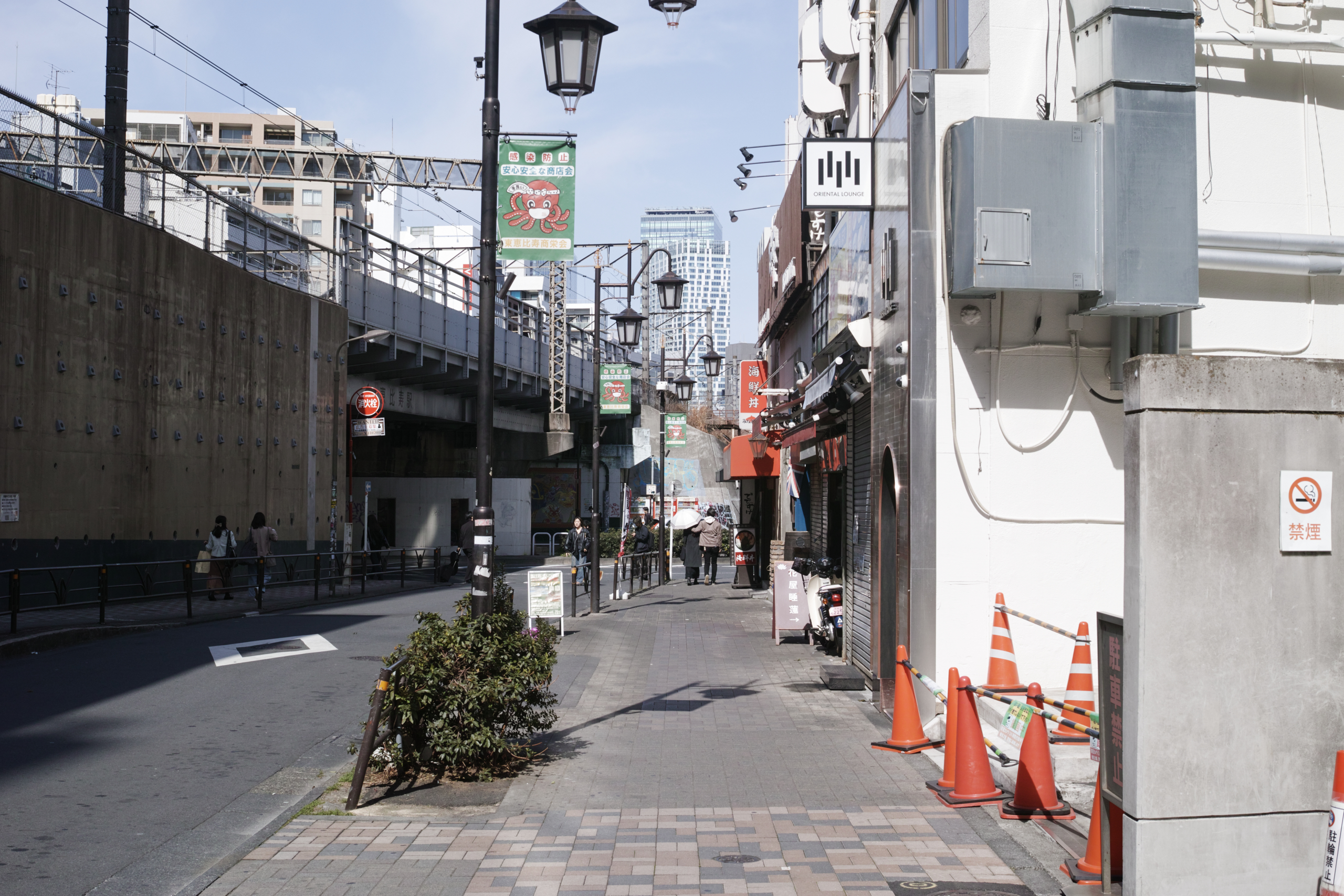 Yoyogi, Hiroo, Akasaka, Marunouchi etc_Img