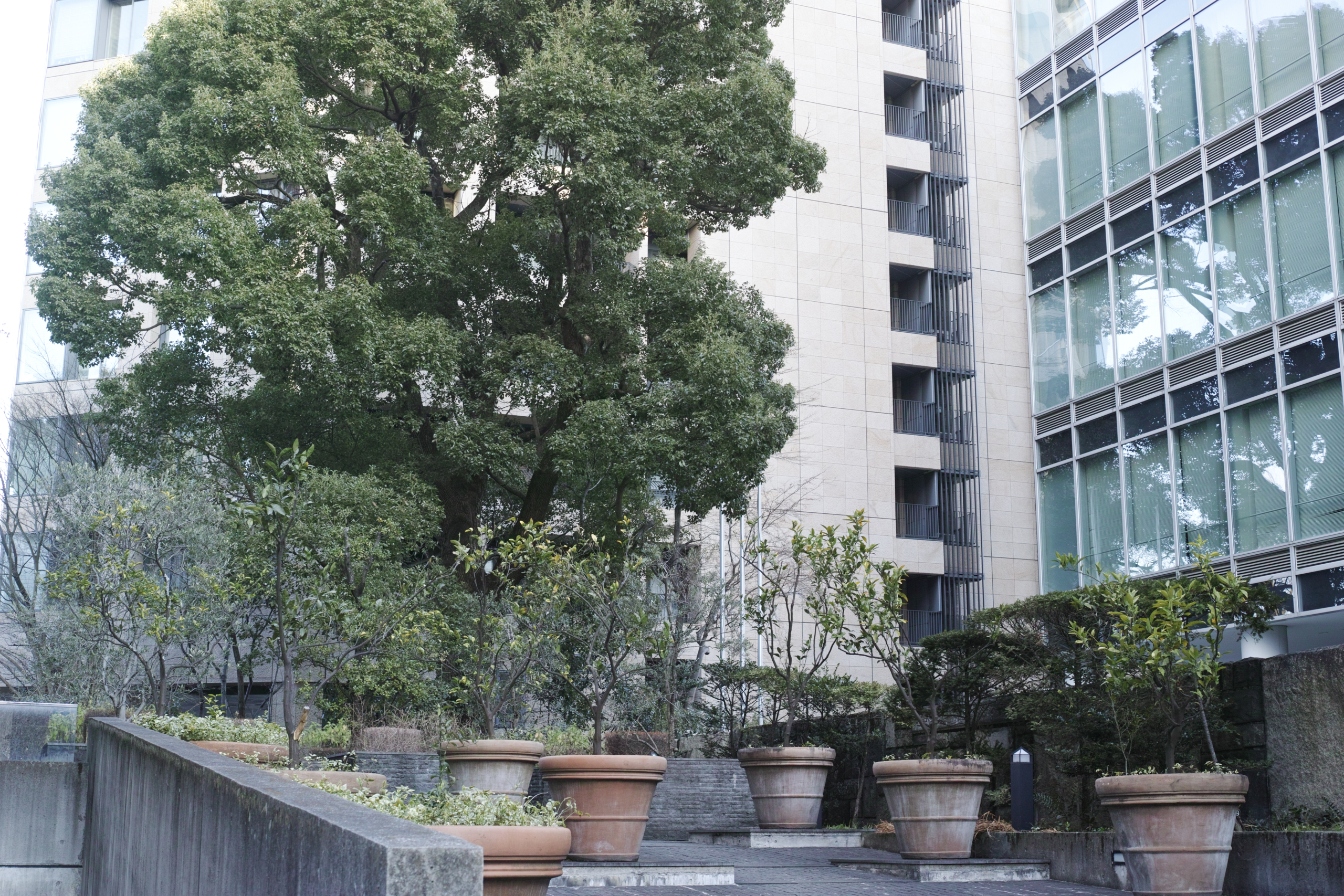 Yoyogi, Hiroo, Akasaka, Marunouchi etc_Img