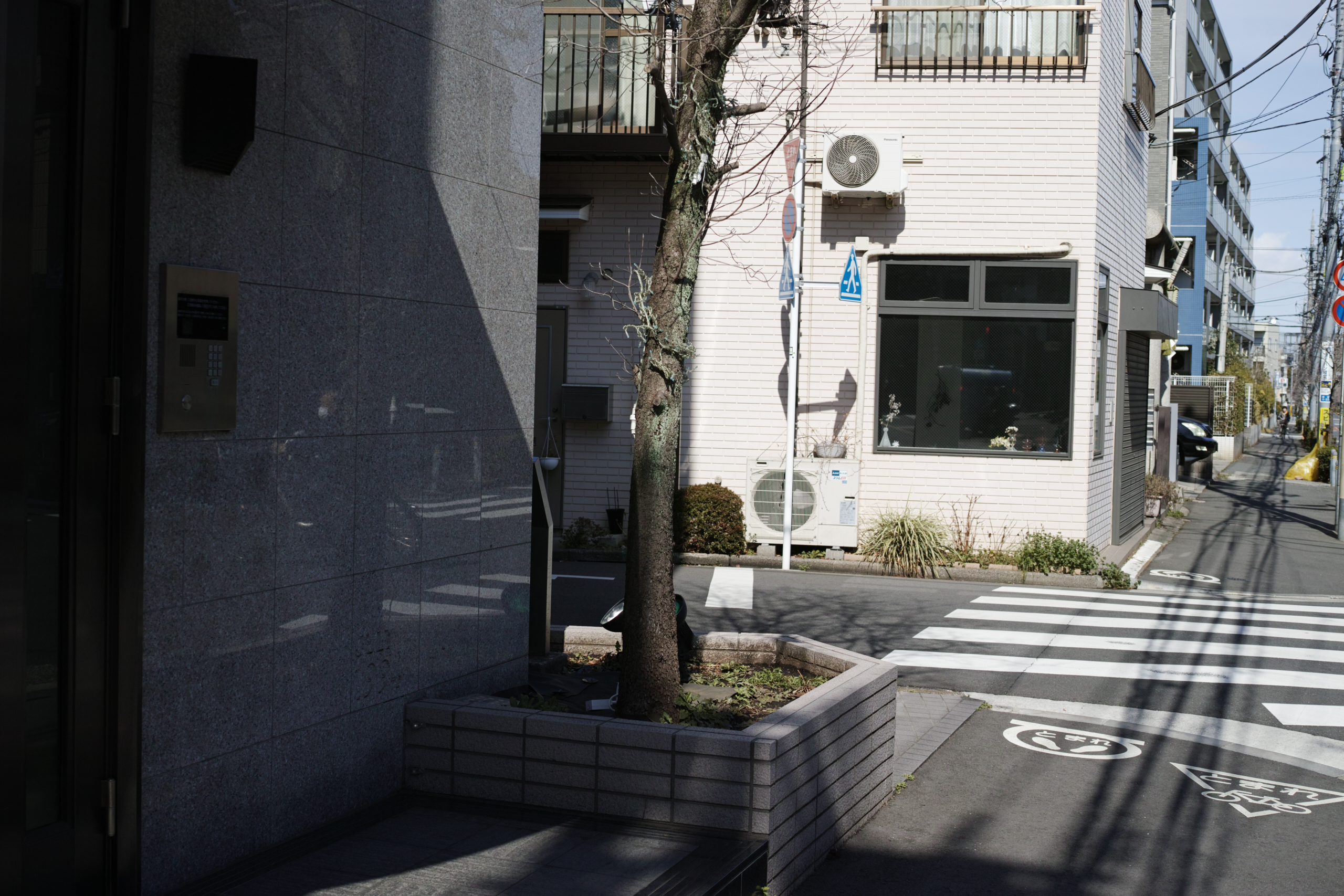 Mizonokuchi, Futako-Tamagawa, Hanegi_Img