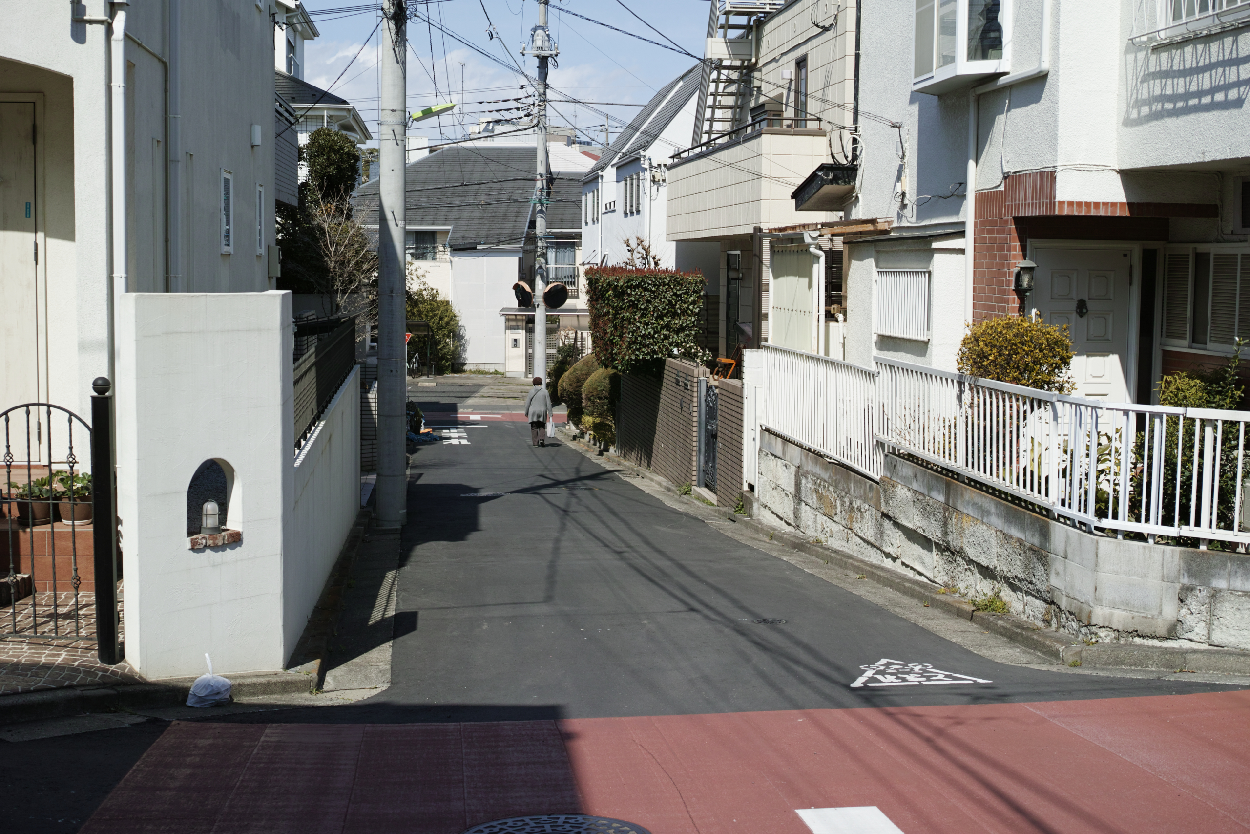 Mizonokuchi, Futako-Tamagawa, Hanegi_Img