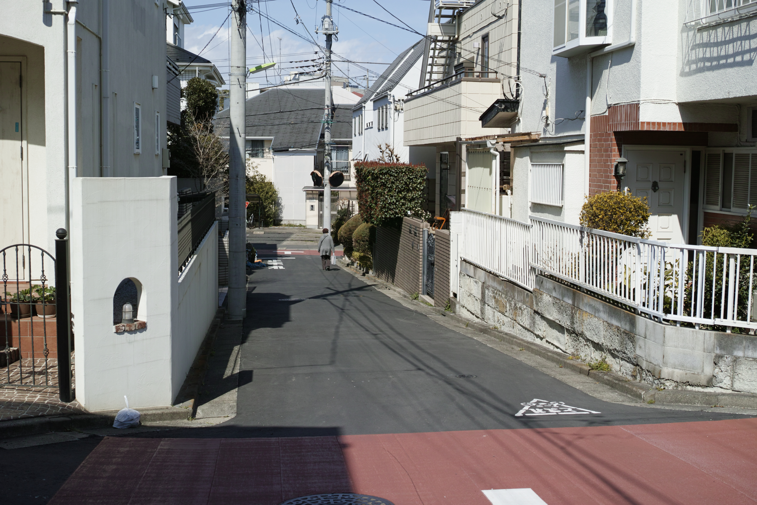 Mizonokuchi, Futako-Tamagawa, Hanegi_Img