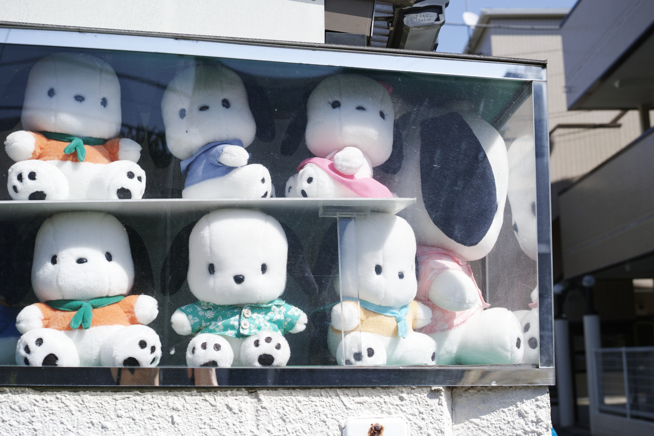 Mizonokuchi, Futako-Tamagawa, Hanegi_Img