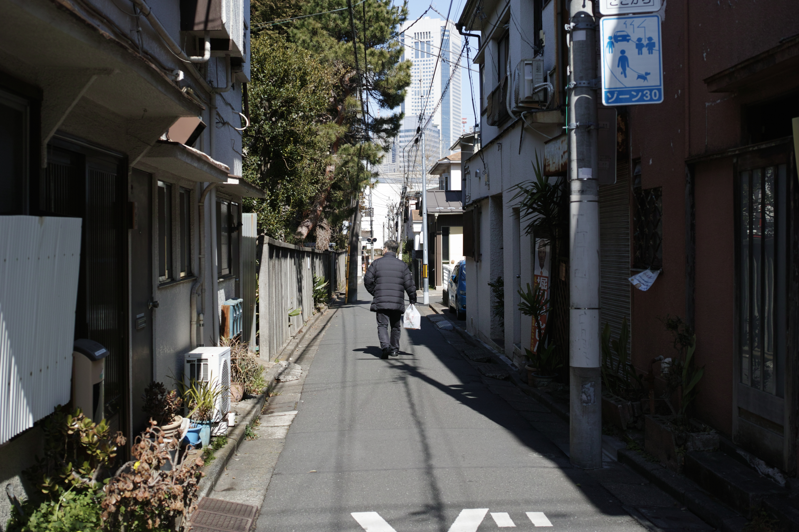 Mizonokuchi, Futako-Tamagawa, Hanegi_Img