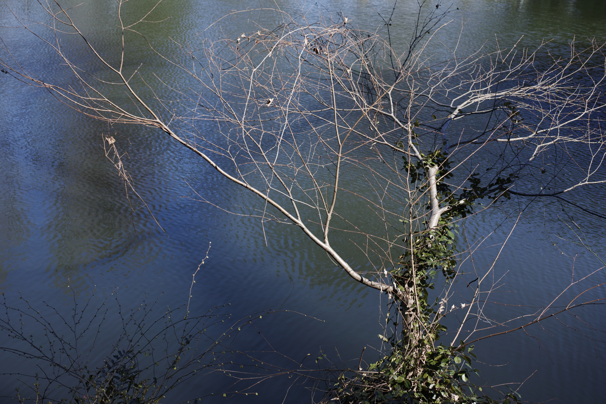 Nakano-Sakaue, Shinjuku, Shibuya, Ebisu_Img