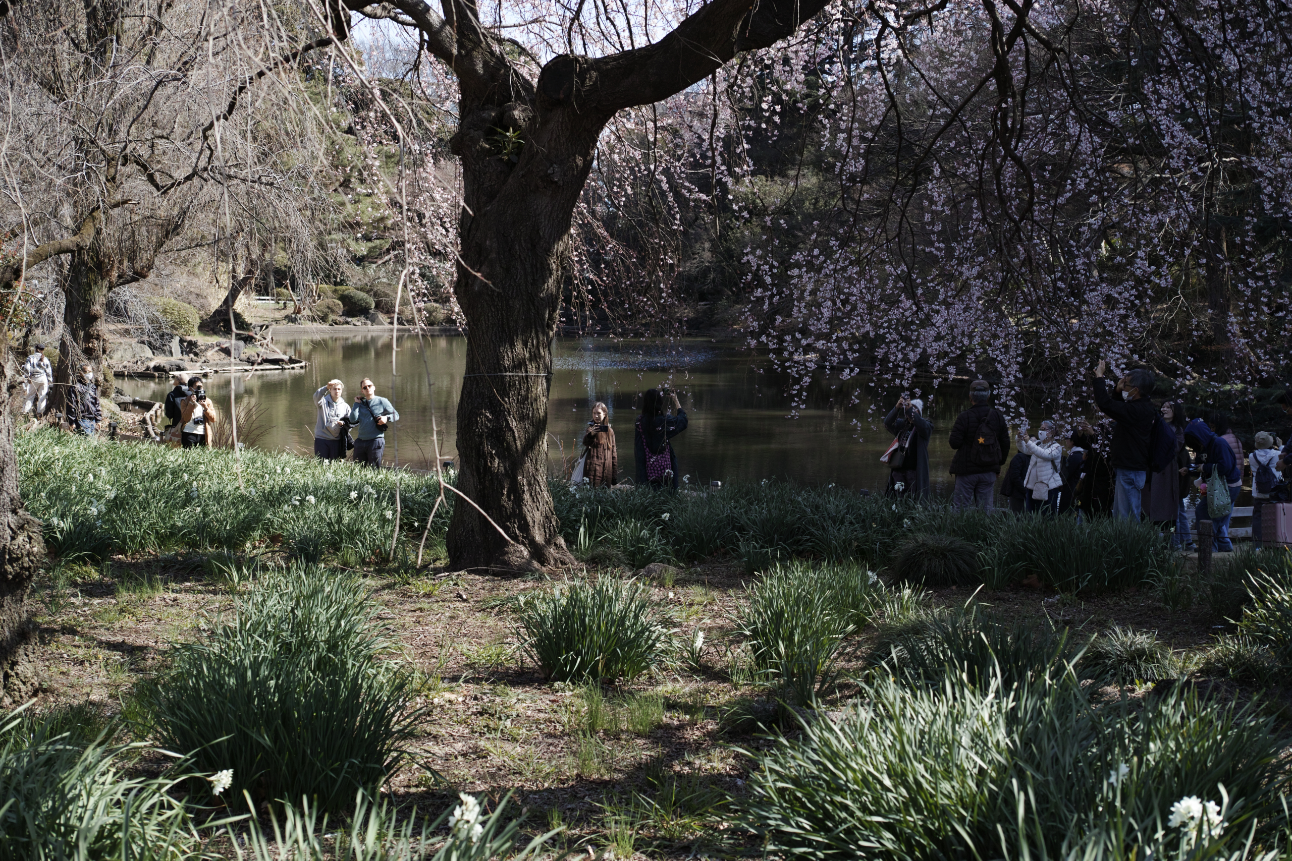 Nakano-Sakaue, Shinjuku, Shibuya, Ebisu_Img