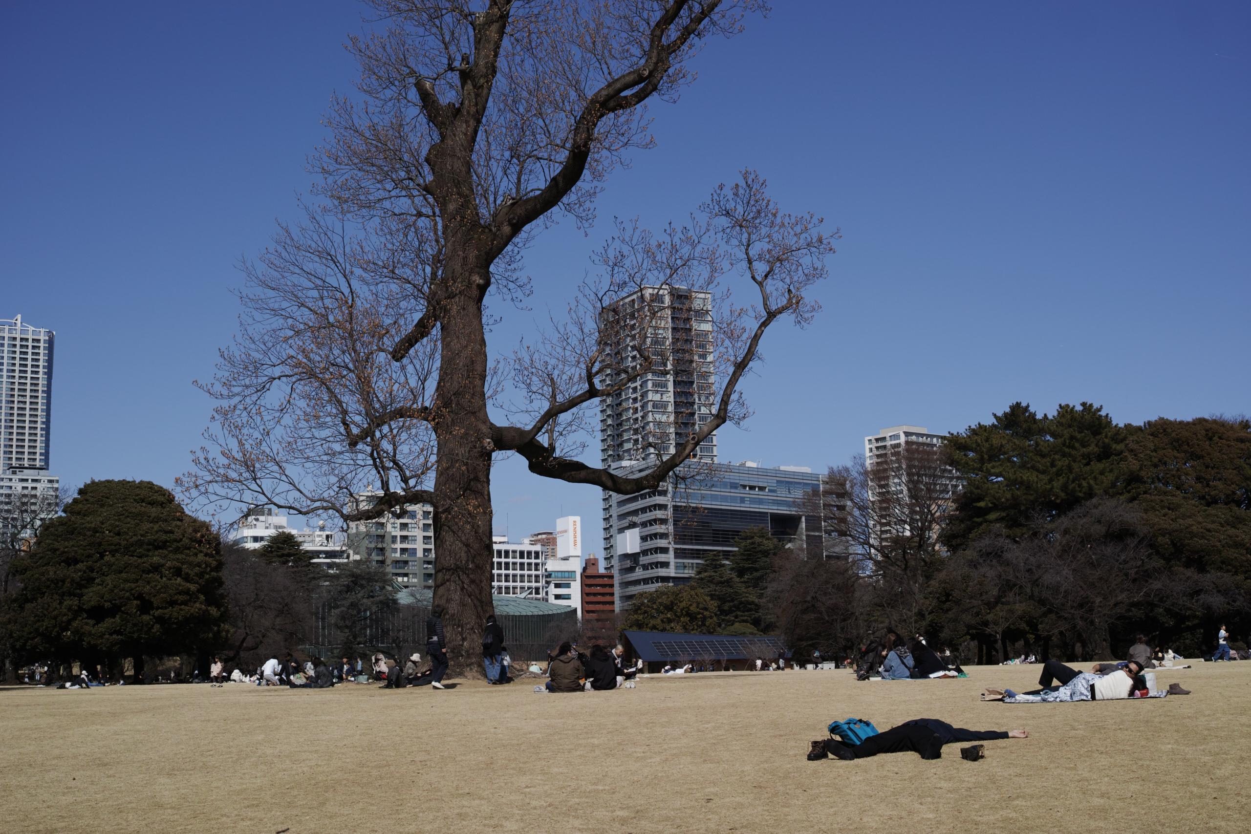 Nakano-Sakaue, Shinjuku, Shibuya, Ebisu_Img
