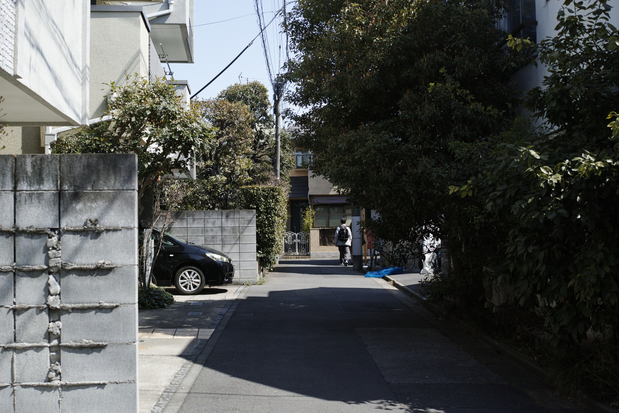 Numabukuro, Ochiai, Gokokuji_Img