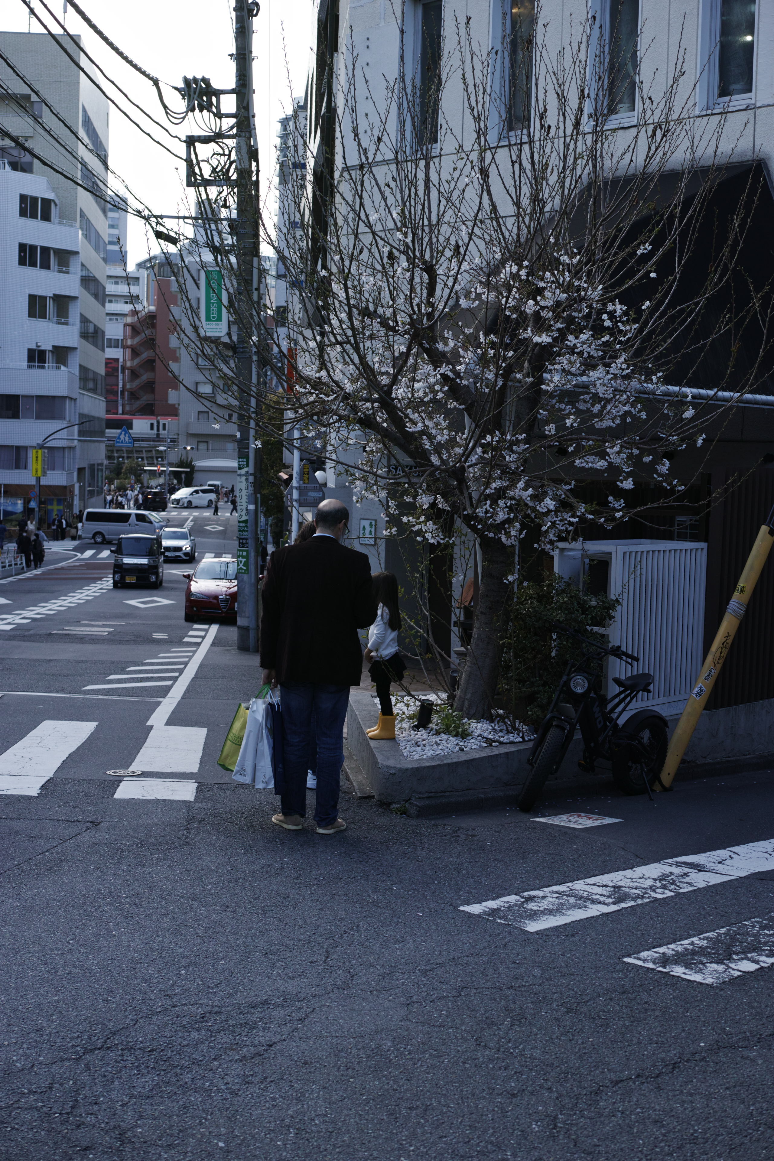 Shibuya, Hiroo_Img