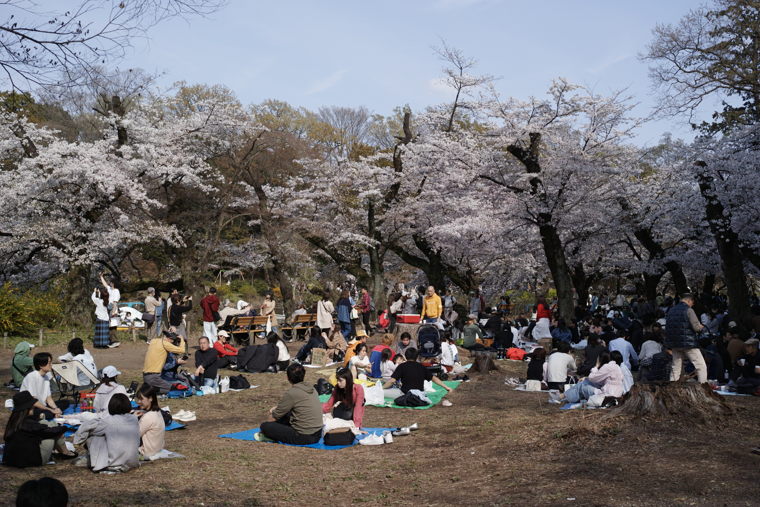 Kichijoji_Img