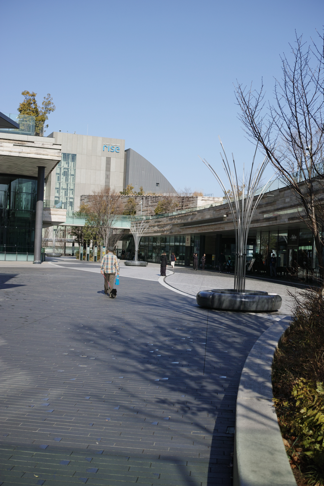 Mizonokuchi, Futako-Tamagawa, Hanegi_Img