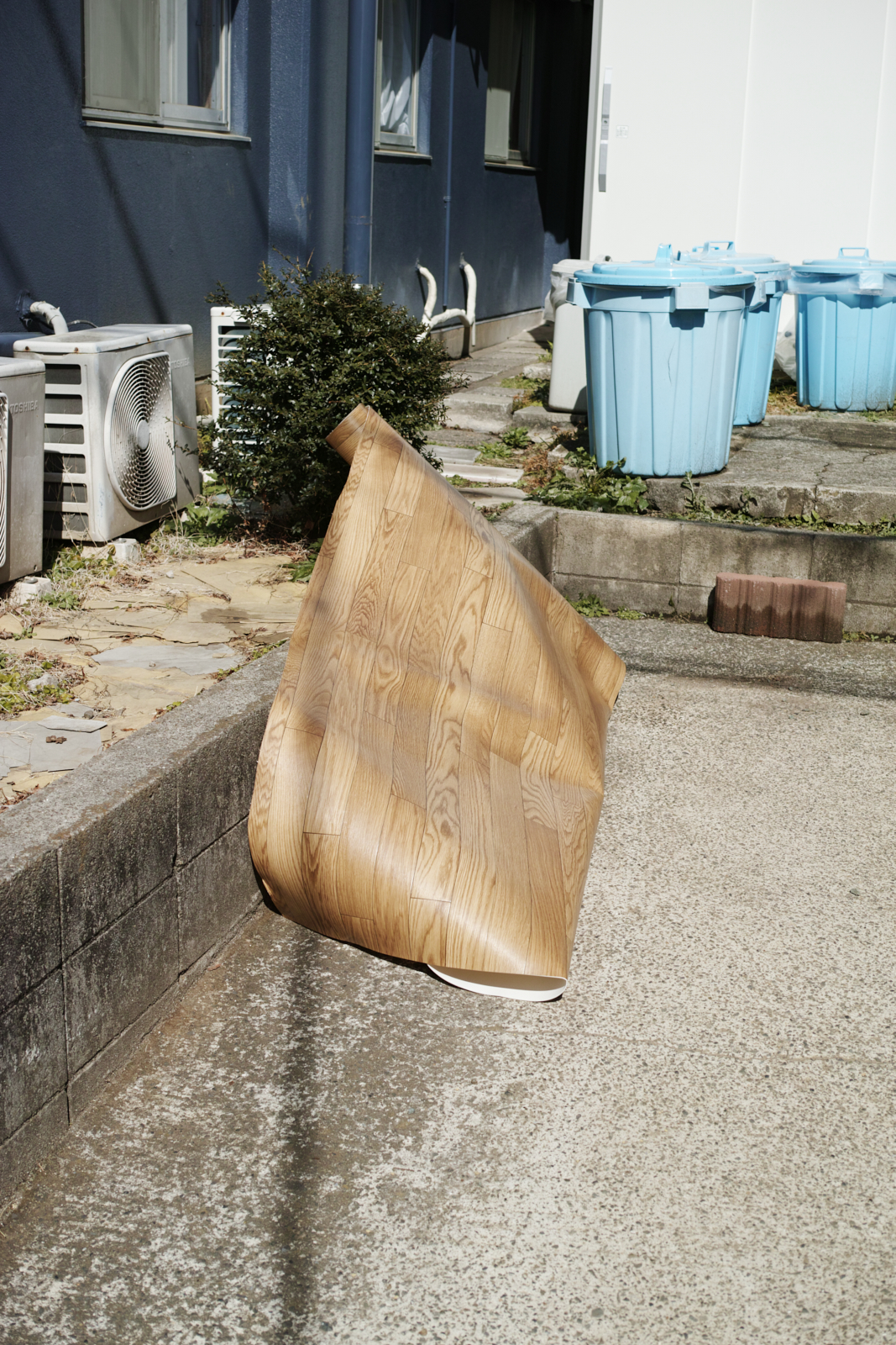 Mizonokuchi, Futako-Tamagawa, Hanegi_Img