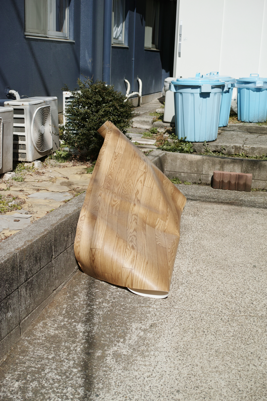 Mizonokuchi, Futako-Tamagawa, Hanegi_Img