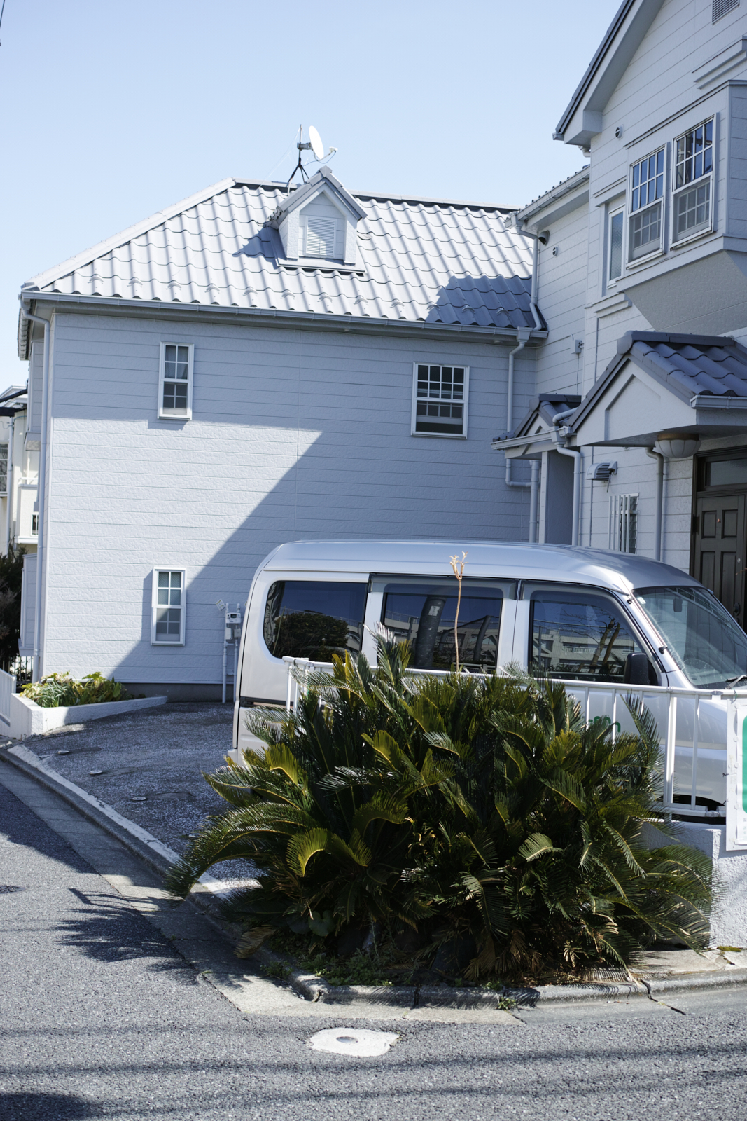 Mizonokuchi, Futako-Tamagawa, Hanegi_Img