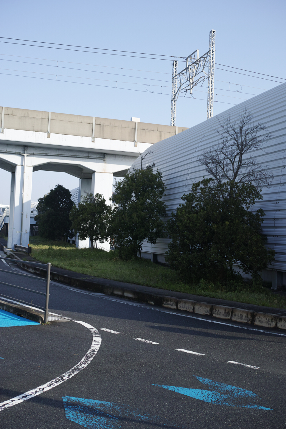 Ichikawa_Img