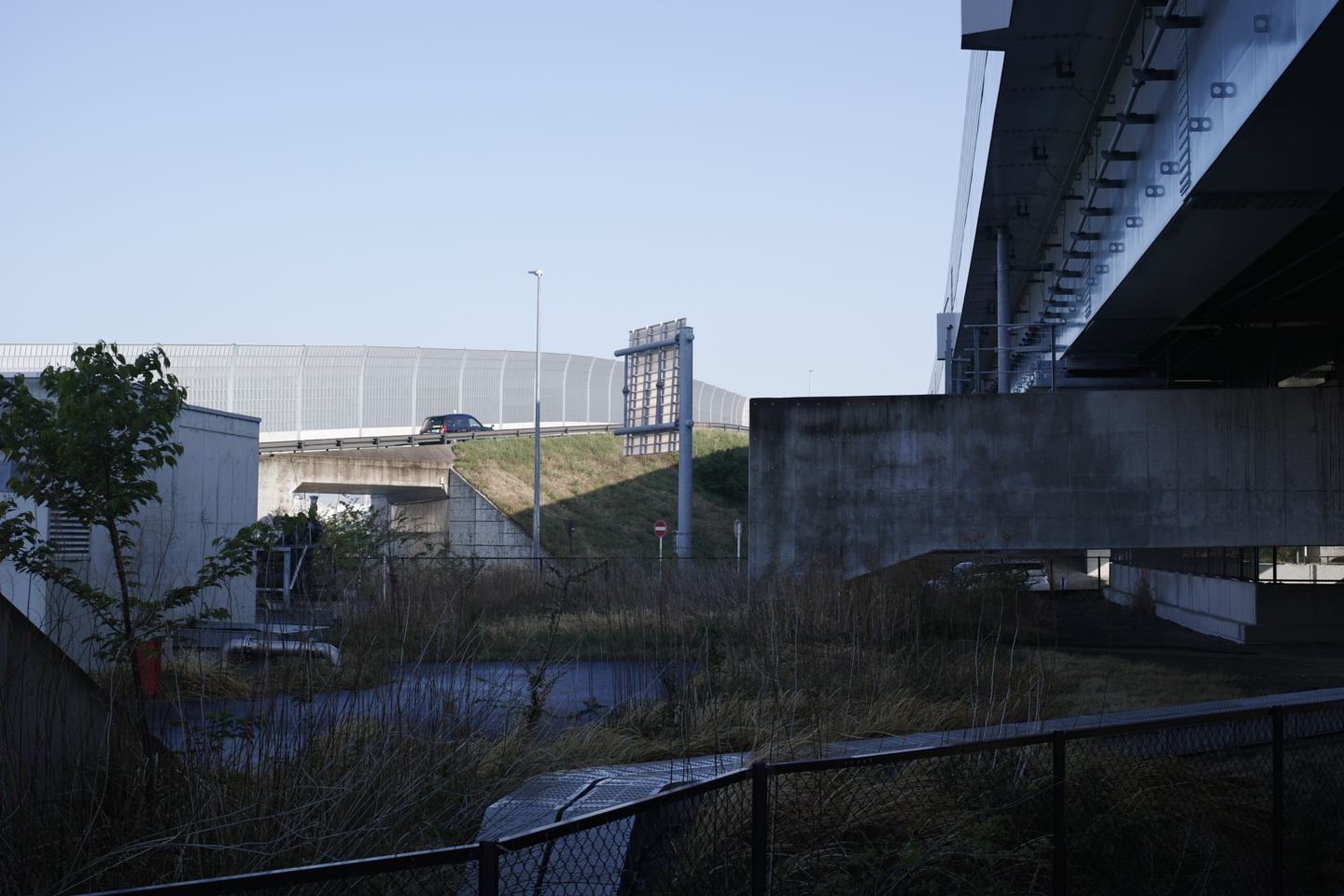 Ichikawa_Img