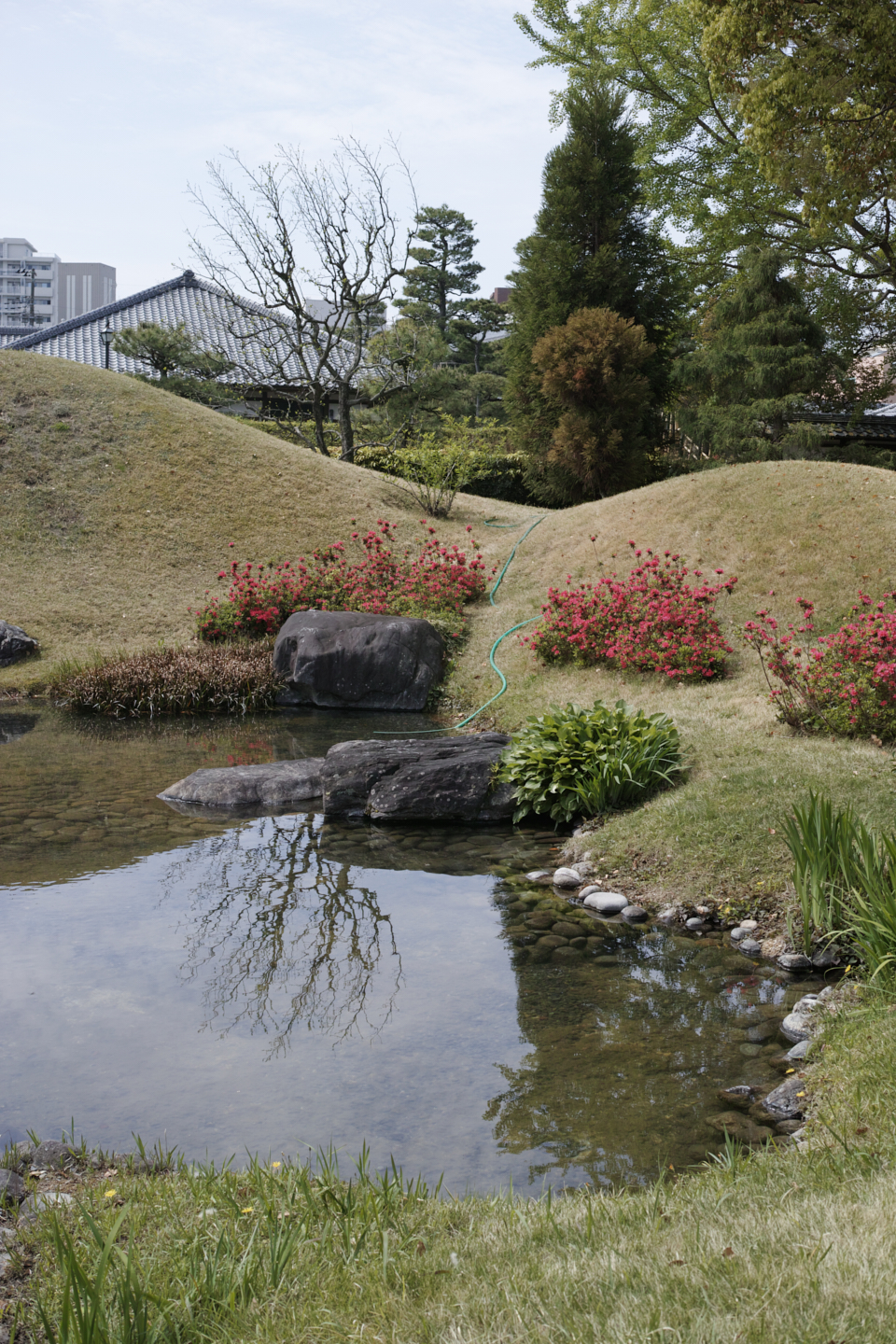 Ashikaga_Img