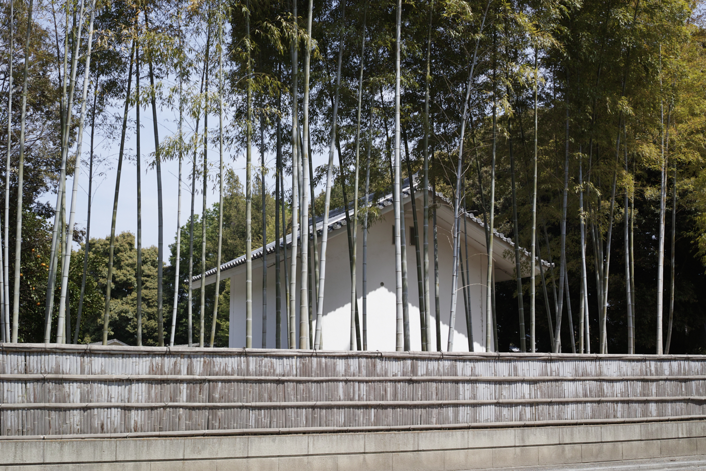 Ashikaga_Img