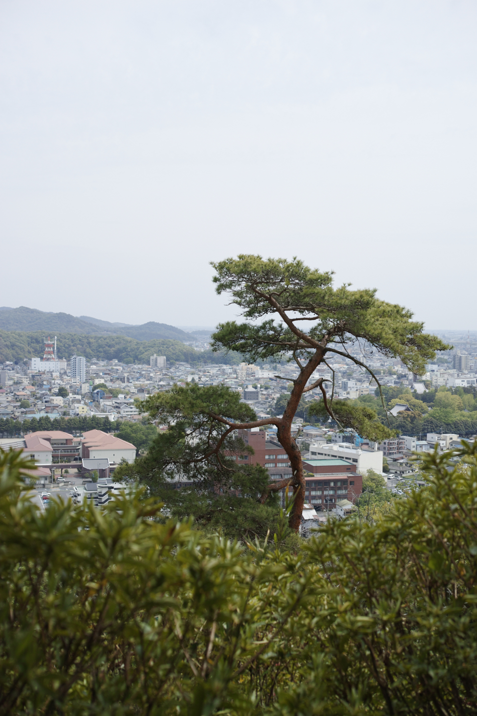 Ashikaga_Img
