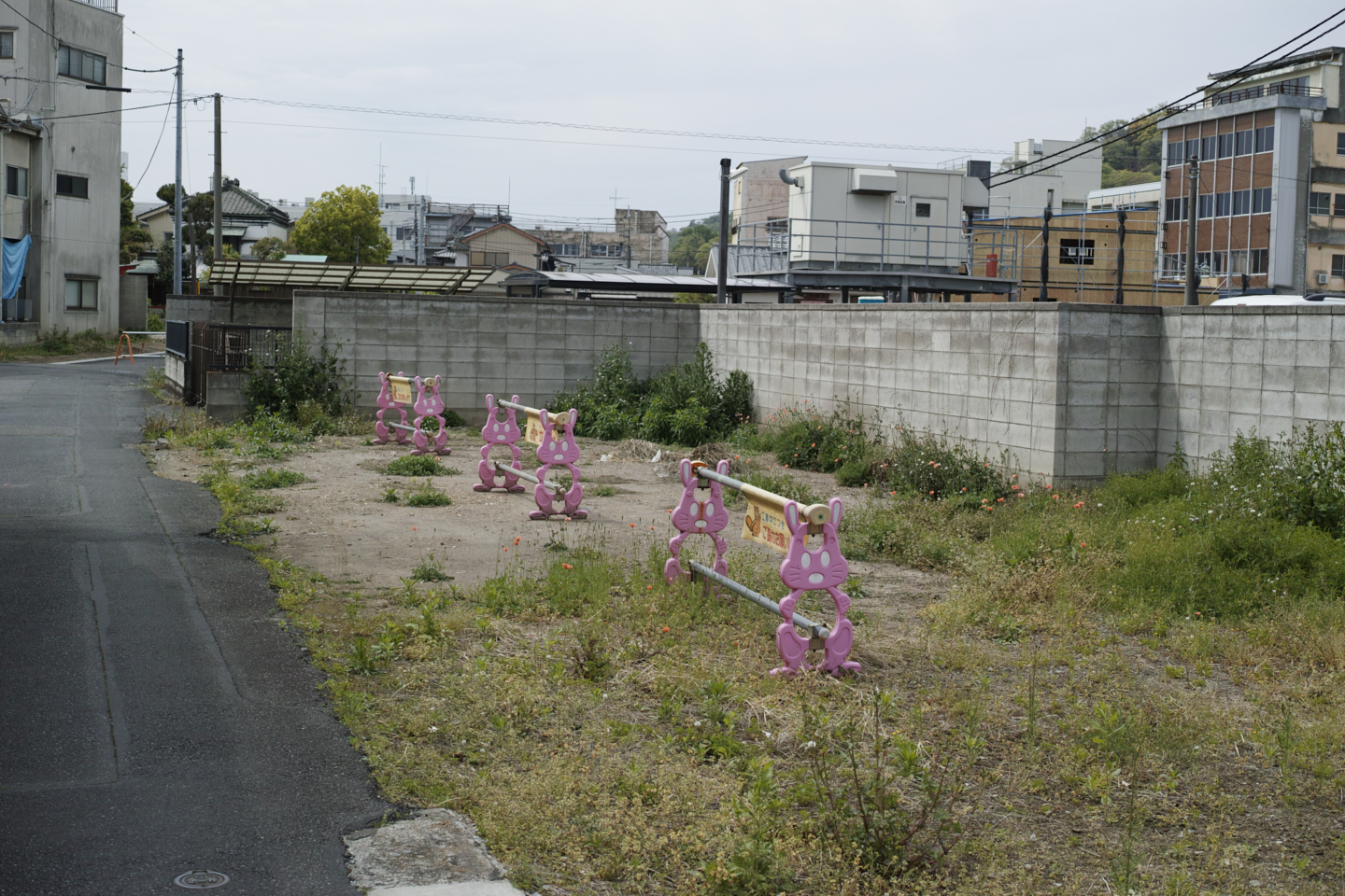 Ashikaga_Img
