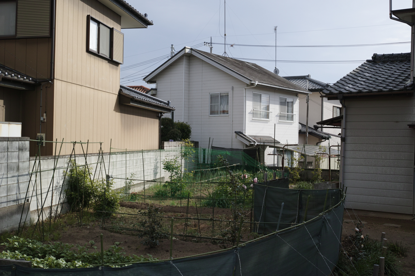 Ashikaga_Img