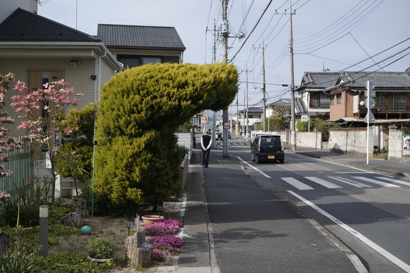 Ashikaga_Img