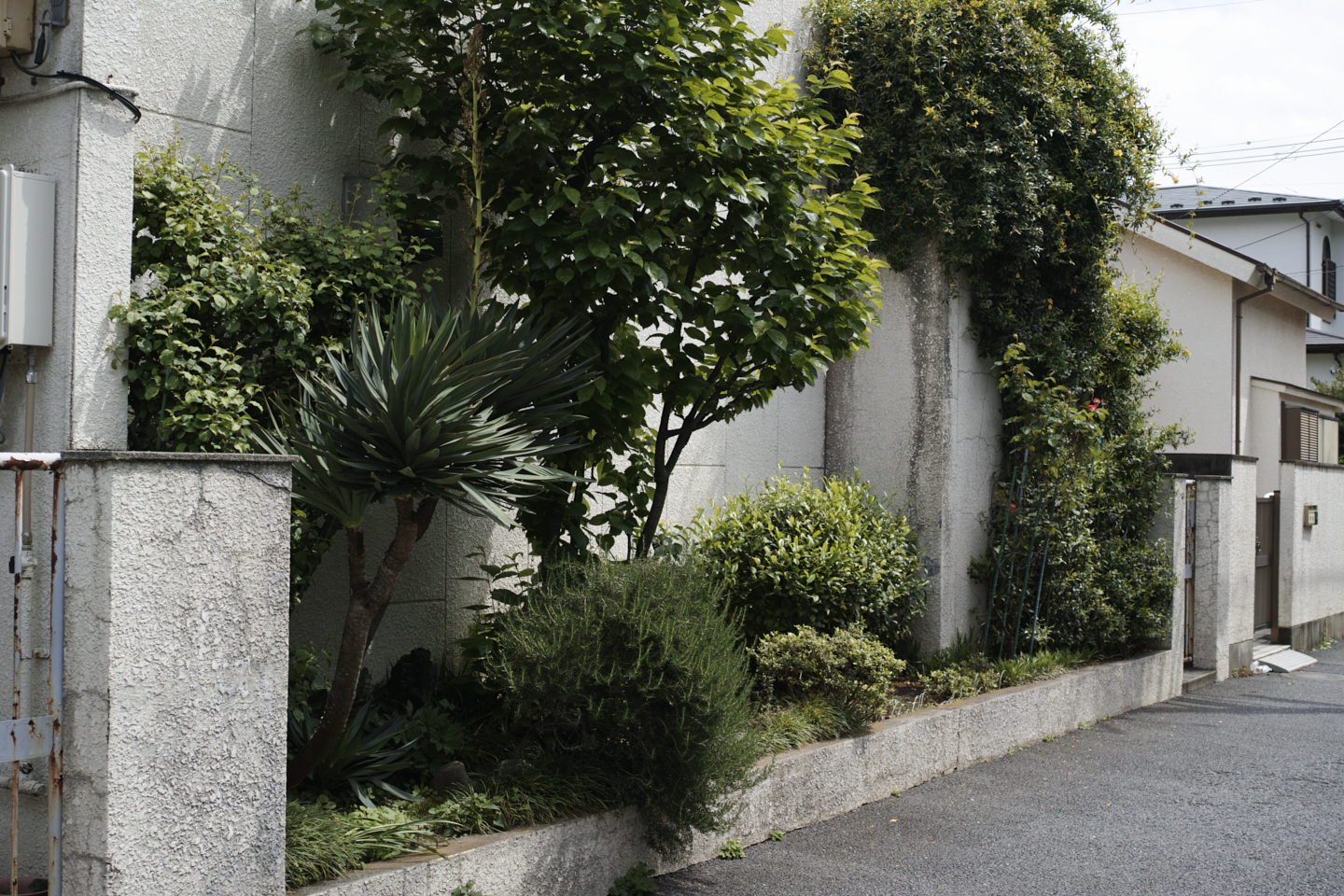 Shimo-Kitazawa, Akebonobashi, Iidabashi_Img