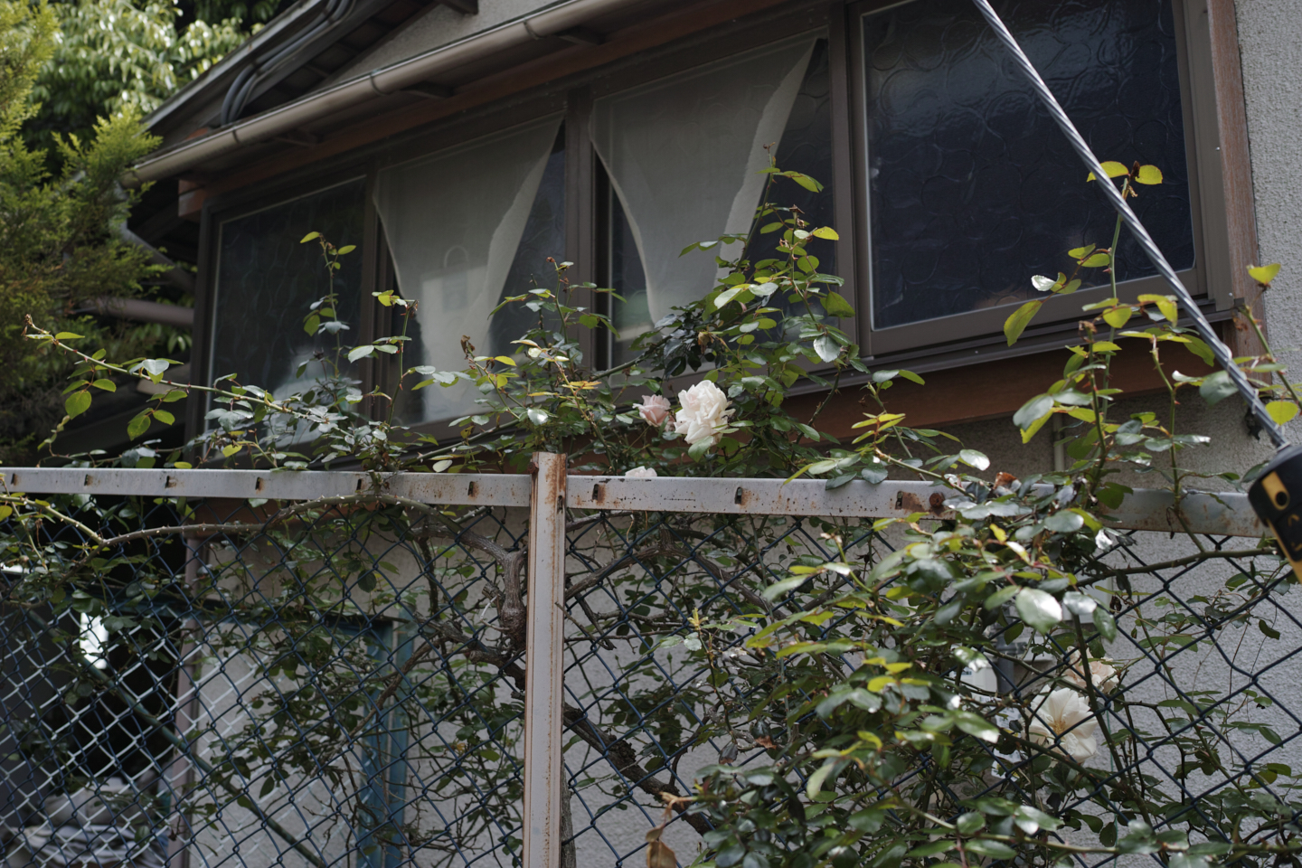 Shimo-Kitazawa, Akebonobashi, Iidabashi_Img