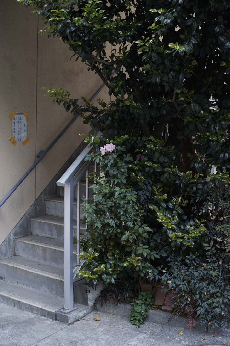 Shimo-Kitazawa, Akebonobashi, Iidabashi_Img