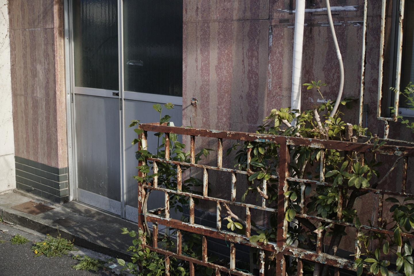 Shimo-Kitazawa, Akebonobashi, Iidabashi_Img