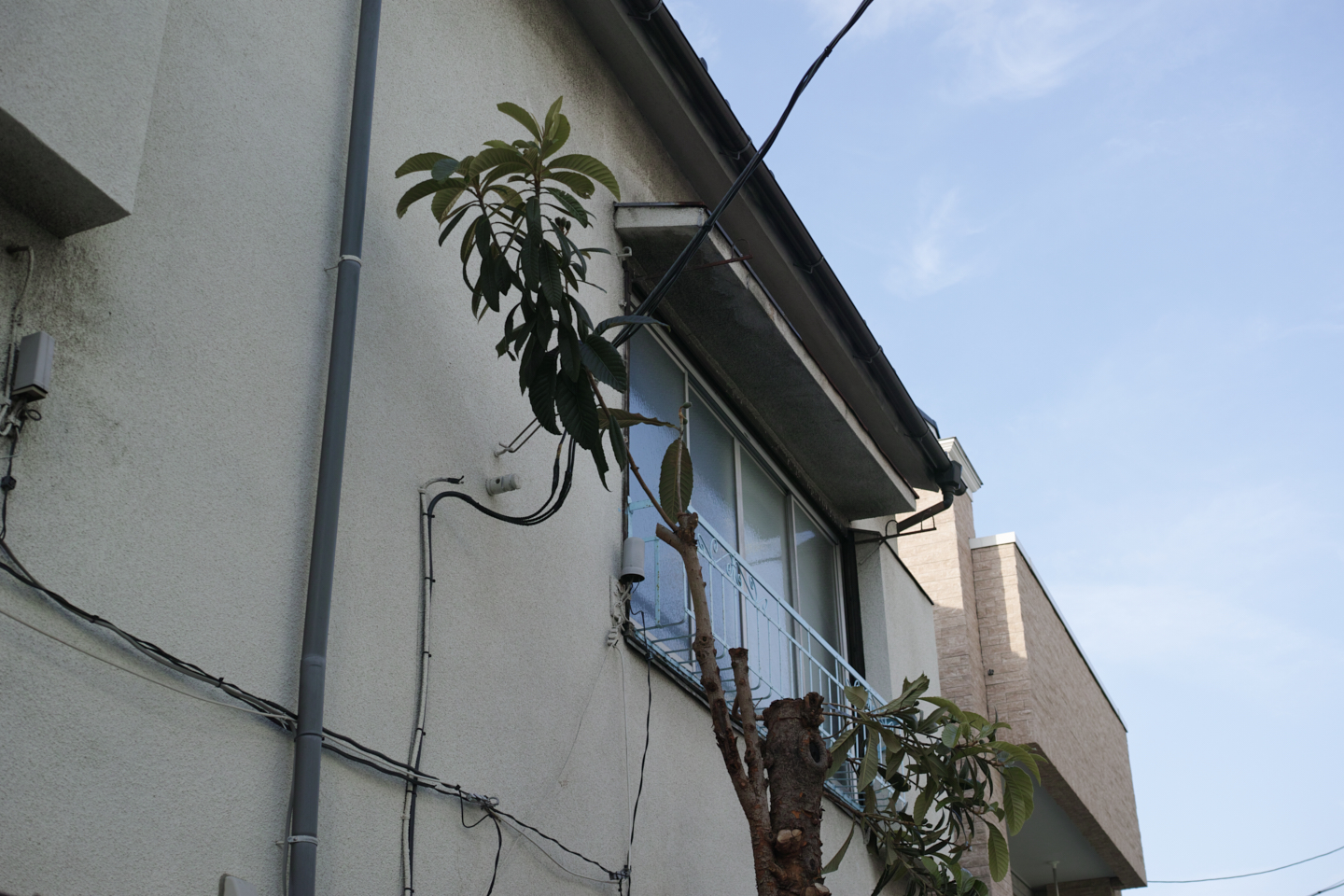 Shimo-Kitazawa, Akebonobashi, Iidabashi_Img