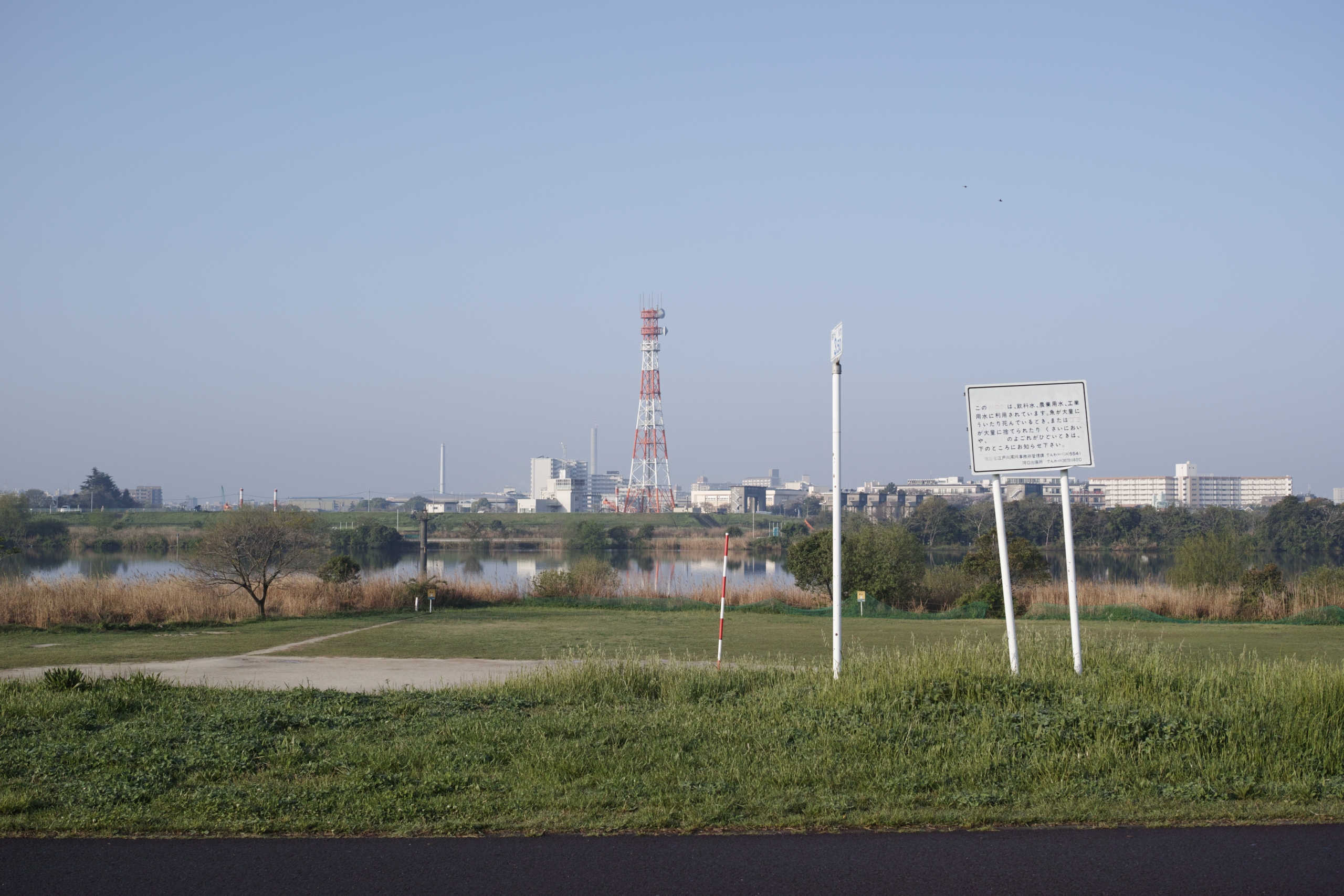 Ichikawa_Img