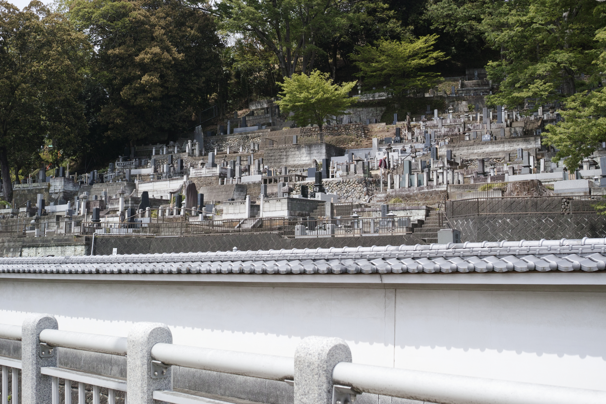 Ashikaga_Img