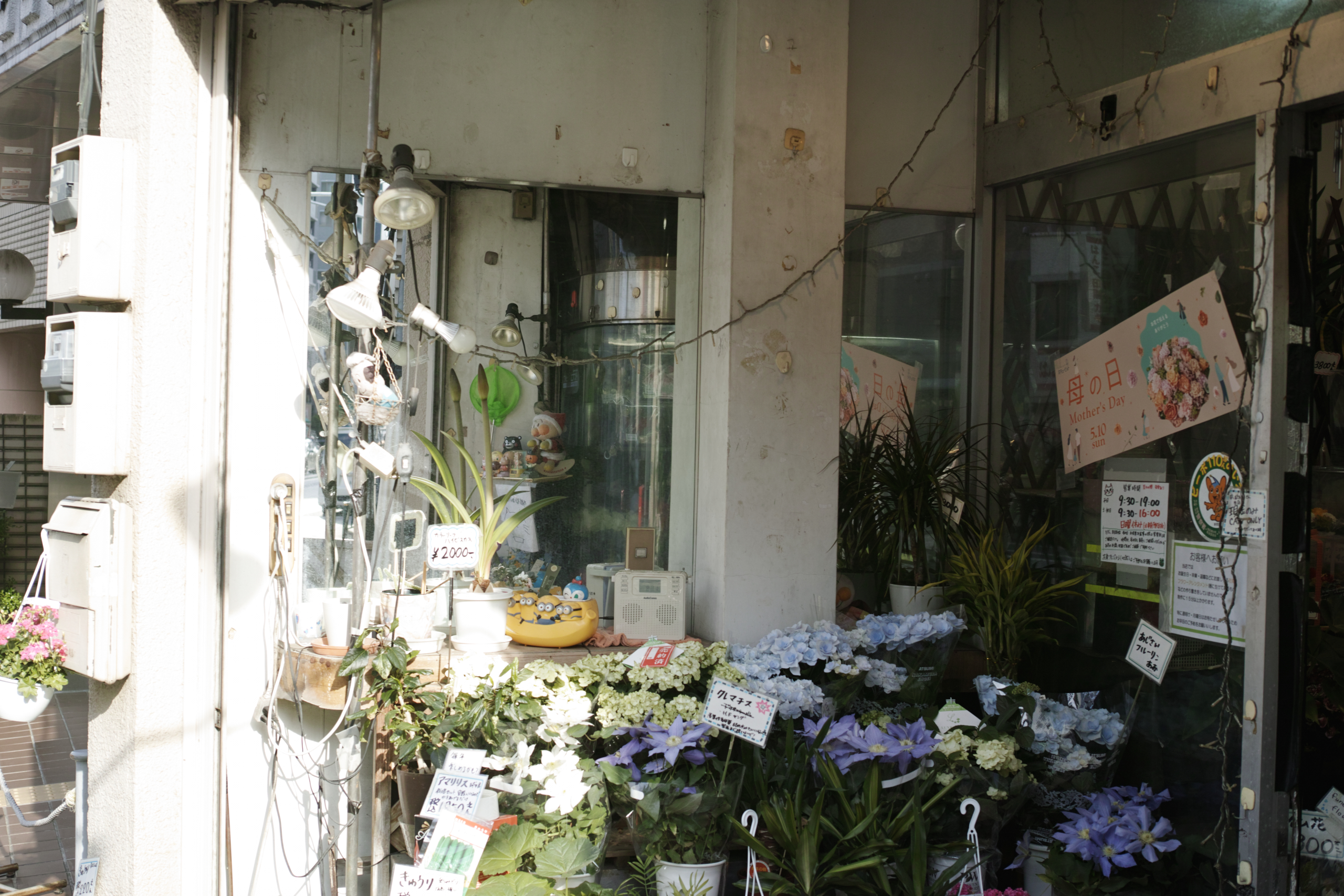 Shimo-Kitazawa, Akebonobashi, Iidabashi_Img